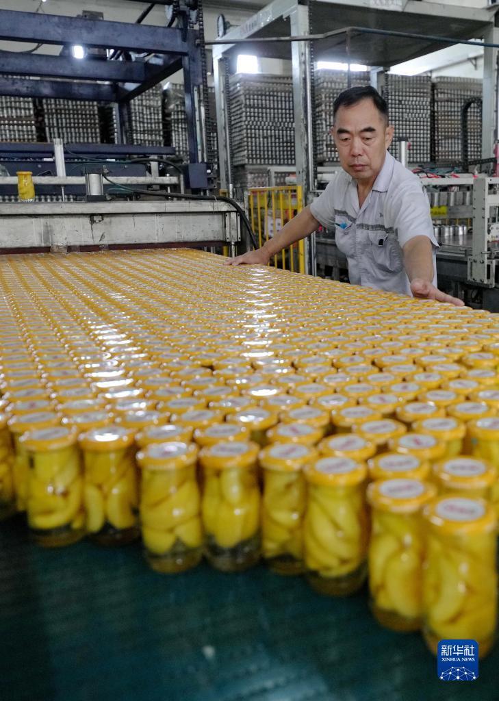 捕鱼游戏赚钱是骗人的吗
